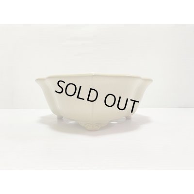 Photo3: No.DA4890 Reiho