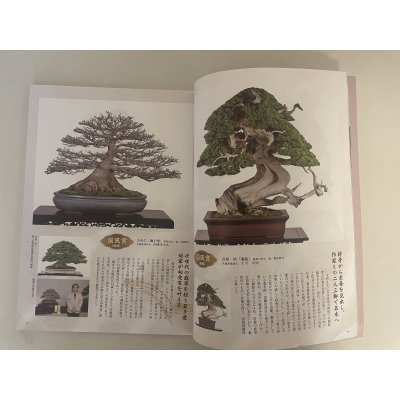 Photo2: No.Kinbon Air  Kinbon subscription by airmail Annual subscription (12 copies) Postage by airmail