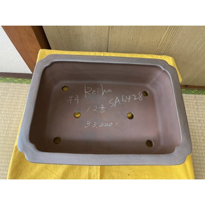 Photo2: No.SA6428 Reiho