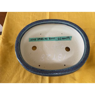 Photo2: No.SA6442 Koyo