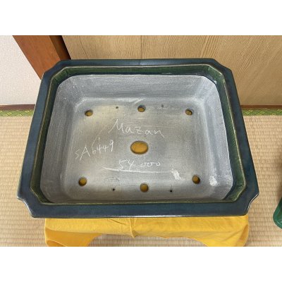 Photo2: No.SA6449 Mazan