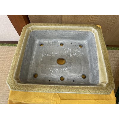 Photo2: No.SA6453 Mazan