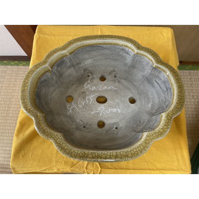 Photo2: No.SA6455 Mazan