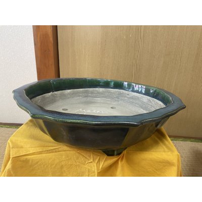 Photo1: No.SA6456 Mazan