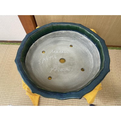 Photo2: No.SA6456 Mazan