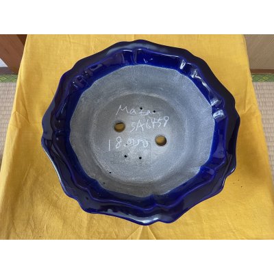 Photo2: No.SA6458 Mazan