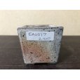 Photo1: No.EA0517 <br>Kataoka (1)
