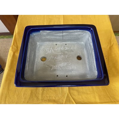 Photo2: No.SA6462 Mazan