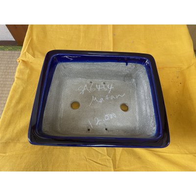 Photo2: No.SA6464 Mazan