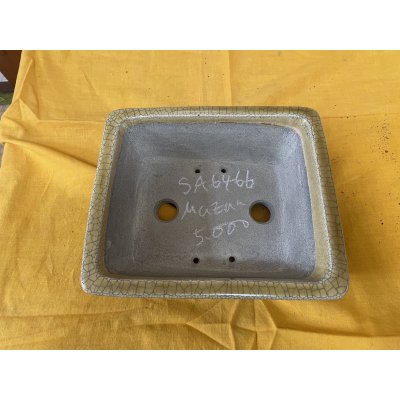 Photo2: No.SA6466 Mazan