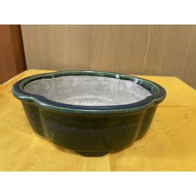 Photo1: No.SA6467 Mazan