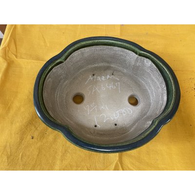 Photo2: No.SA6467 Mazan