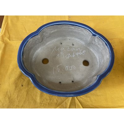 Photo2: No.SA6468 Mazan