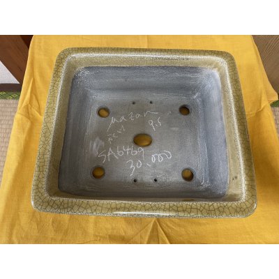 Photo2: No.SA6469 Mazan