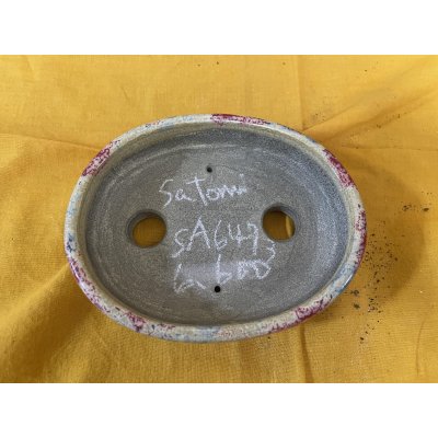 Photo2: No.SA6473 Satomi