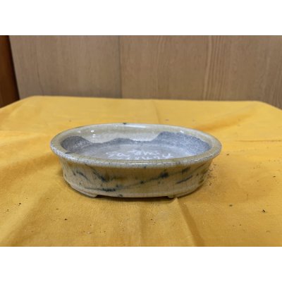 Photo1: No.SA6474 Satomi