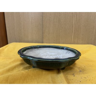 Photo1: No.SA6475 Satomi