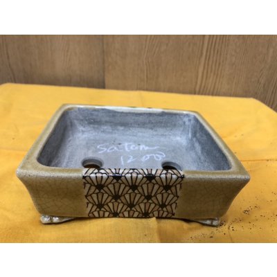 Photo1: No.SA6479 Satomi