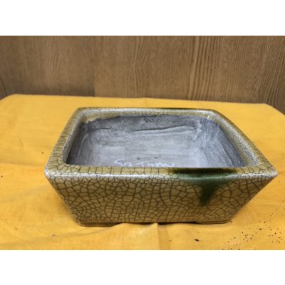 Photo1: No.SA6482 Satomi