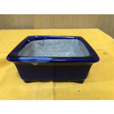 Photo1: No.SA6484 Satomi