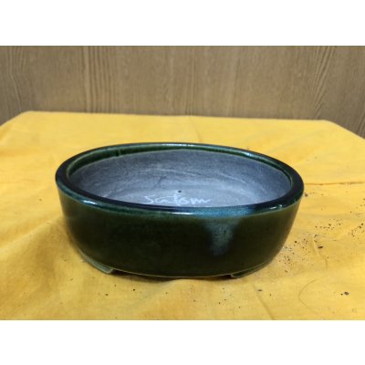 Photo1: No.SA6487 Satomi