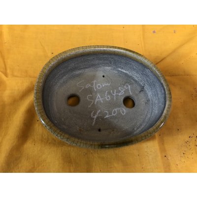 Photo2: No.SA6489 Satomi