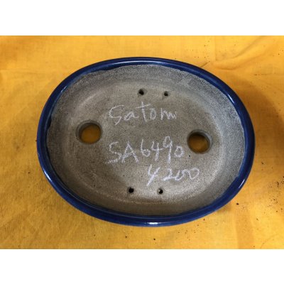 Photo2: No.SA6490 Satomi