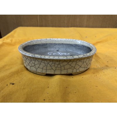 Photo1: No.SA6491 Satomi