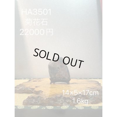 Photo7: No.HA3501  Kikka ishi