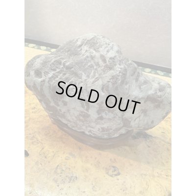 Photo3: No.HA3502  Arakawasarasa ishi