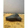 Photo2: No.HA3504 <br>Kotan ishi (2)