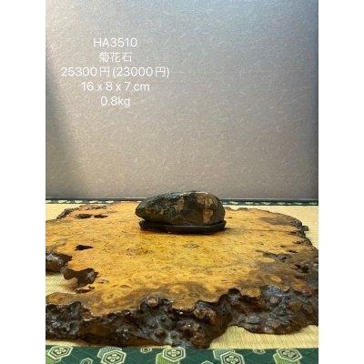 Photo6: No.HA3510  Kikka ishi