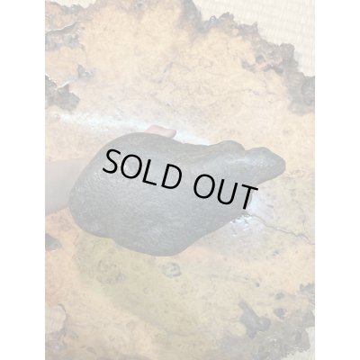 Photo6: No.HA3512  Tadamigawa ishi