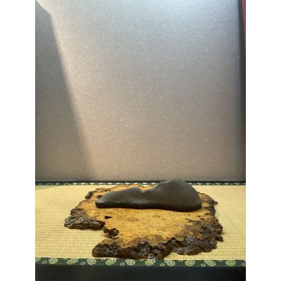 Photo8: No.HA3513  Setagawa ishi