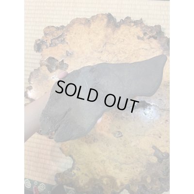 Photo5: No.HA3516  Naraigawa ishi