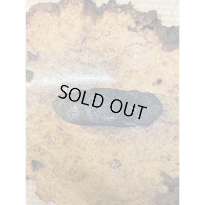 Photo3: No.HA3517  Kikka ishi