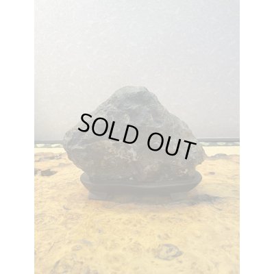 Photo4: No.HA3517  Kikka ishi