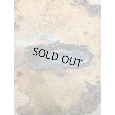 Photo6: No.HA3517  Kikka ishi