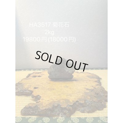 Photo7: No.HA3517  Kikka ishi