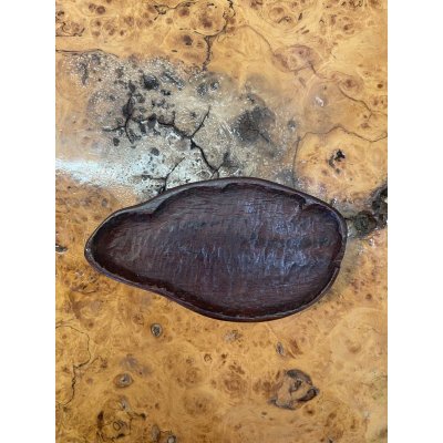 Photo6: No.HA3522  (Origin unknown)