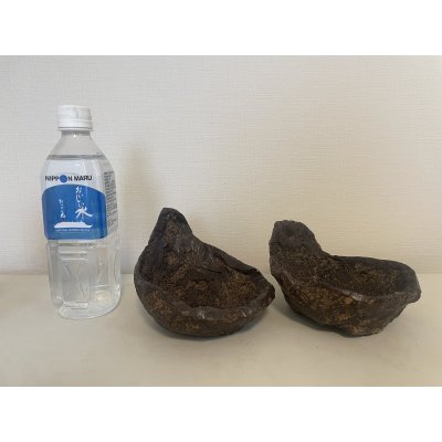 Photo2: No.TB0601  Bonsai pot, 2pc set