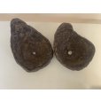 Photo1: No.TB0601 <br>Bonsai pot, 2pc set (1)