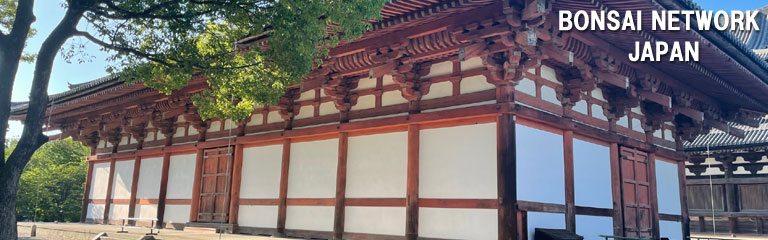 BONSAI NETWORK JAPAN