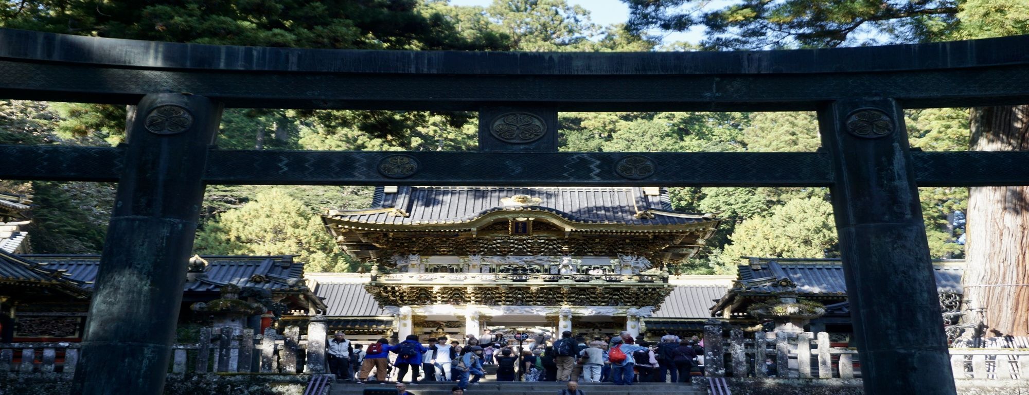 BONSAI NETWORK JAPAN