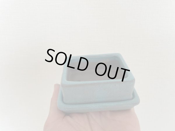 Photo3: No.12A-4S  Mame pot set, 15pcs with tray (3)