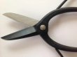 Photo5: No.0001  Trimming Shears [150g/180mm] (5)