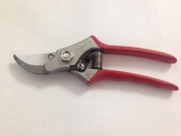 Photo1: Masakuni No.2010  Pruning Shears [200g/188mm] (1)