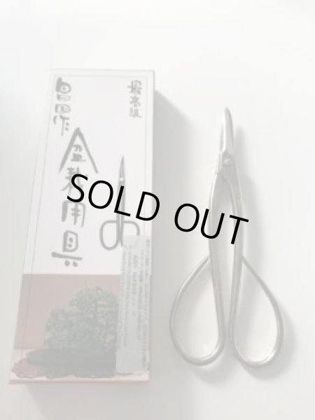 Photo4: No.8228  Trim, Shears typ-C [70g/170mm] (4)