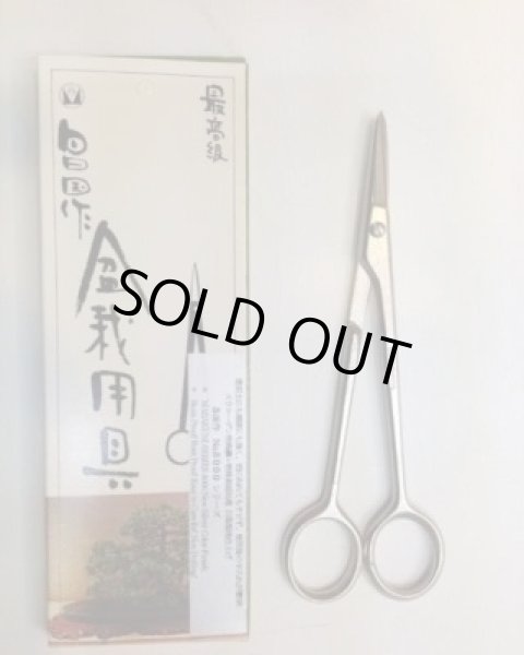 Photo4: No.8005  Bud Shears, 5-ndl, pine [60g/145mm] (4)