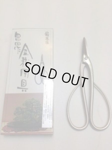 Photo4: No.8002  Trim, Shears long [130g/190mm] (4)